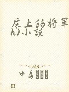 床上的将军(高h)小说