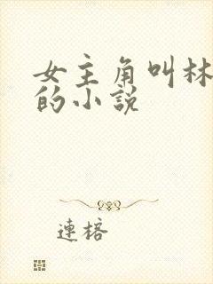 女主角叫林婉清的小说