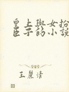 皇上与女扮男装臣子的小说