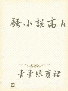 骚小说高 h