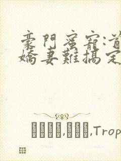 豪门蜜宠:首席娇妻难搞定