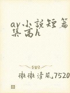 av小说短篇合集高h