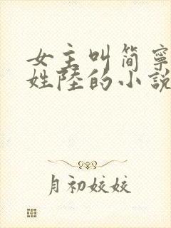 女主叫简宁男主姓陆的小说