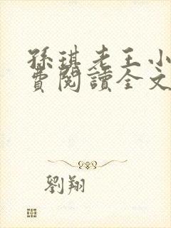 孙琪老王小说免费阅读全文无弹窗