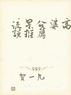 流星公婆高干小说推荐