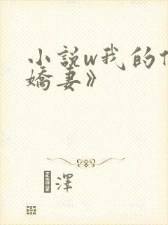 小说w我的倾城娇妻》封面