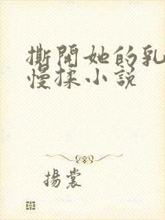 撕开她的乳罩慢慢揉小说