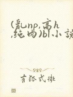 (乱np,高h,纯肉)bl小说