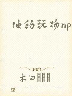 他的玩物np
