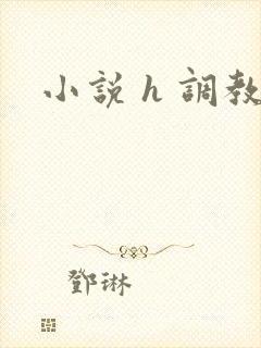 小说 h 调教
