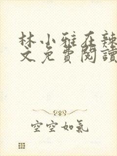 林小雅在辣文全文免费阅读