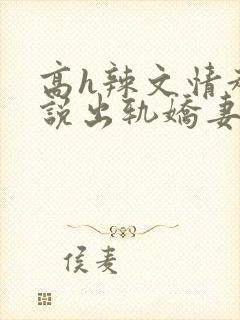 高h辣文情趣小说出轨娇妻