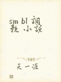 sm bl 调教 小说封面
