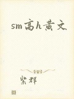 sm高h黄文
