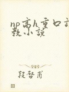 np高h重口调教小说