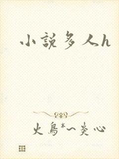 小说多人h