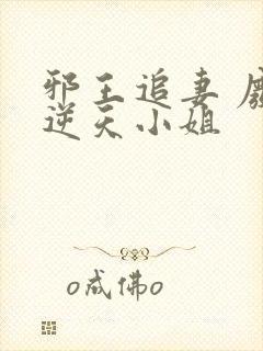 邪王追妻 废材逆天小姐