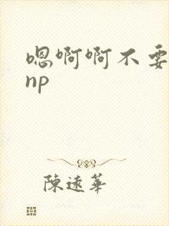 嗯啊啊不要高hnp