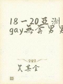 18一20亚洲gay无套男男