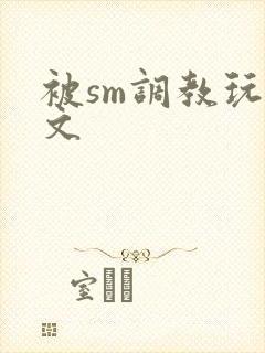 被sm调教玩弄文封面