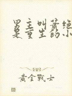 男主叫萧绝女主是重生的小说封面