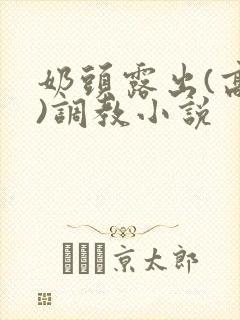 奶头露出(高h)调教小说