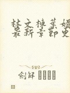 林文栋叶媚小说最新章节更新免费阅读