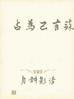 占为己有苏静初