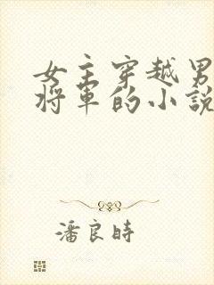 女主穿越男主是将军的小说封面