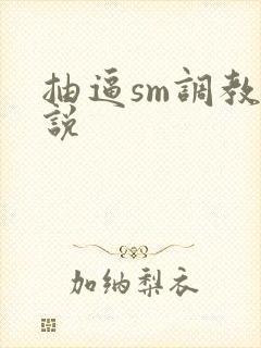 抽逼sm调教小说