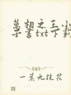 万相之王小说电子书txt下载封面