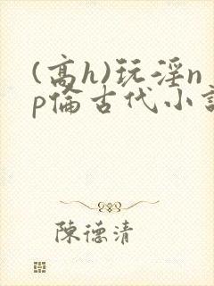 (高h)玩淫np伦古代小说封面