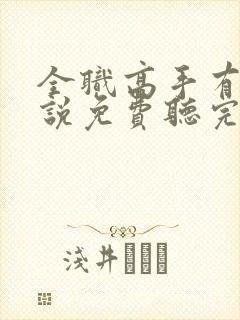 全职高手有声小说免费听完整版封面