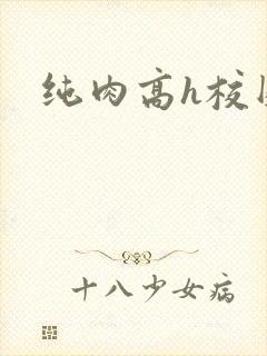 纯肉高h校园文