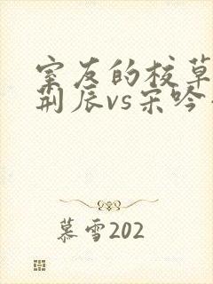 室友的校草男友荆辰vs宋吟小说哪里可