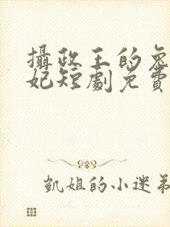 摄政王的兔兔王妃短剧免费观看