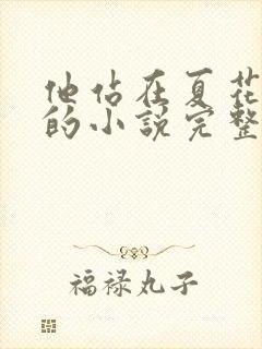 他站在夏花绚烂的小说完整版