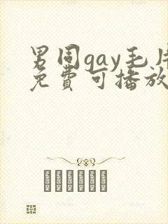 男同gay毛片免费可播放
