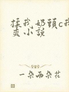 揉我奶头c我好爽小说