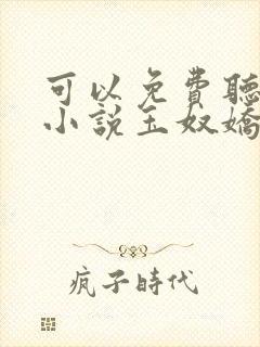 可以免费听小说小说玉奴娇