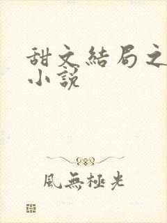 甜文结局之后的小说