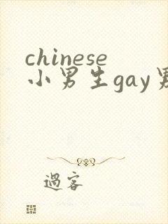 chinese小男生gay男男网站