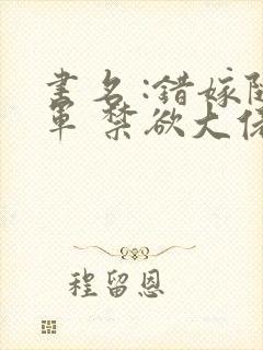 书名 :错嫁随军 禁欲大佬宠妻上瘾