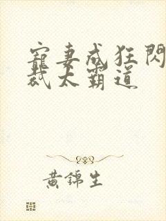 宠妻成狂闪婚总裁太霸道