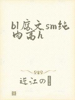 bl腐文sm纯肉高h封面