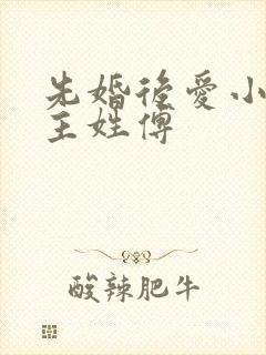 先婚后爱小说男主姓傅