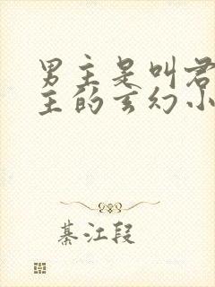 男主是叫君家少主的玄幻小说