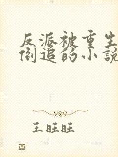 反派被重生女主倒追的小说