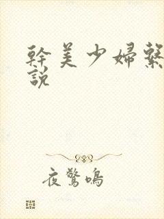 干美少妇系列小说封面