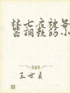 林七夜被各种性器调教的小说